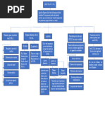 Organizador Visual - Participación Sobre Las E.I.R.L