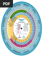 MCHIP Pregnancywheel Africa Final