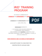 Hybrid Training Program