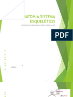 Anatomia Sistema Esquelético