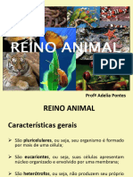 Reino Animalia