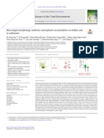 Macroalgal Morphology Mediates Microplastic Accumulation On Thallus and in Sediments