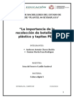 La Importancia de La Recolección de Botellas de Plástico y Tapitas PET"-DAMIAN Y ANDERSON