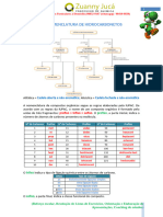 Nomenclatura de Hidrocarbonetos