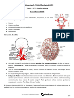 1) Generalidades: Circulación Encefálica