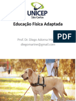 Aula 5 - Deficiência Visual