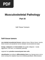 Musculoskeletalpathology 03 Web