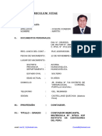 Curriculum Vitae