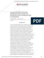 Reducción Del Impacto Ambiental Generado Por Efluentes de La Industria de Curtiembre - Estrucplan