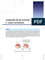 Anatomía de Las Venas y Arterias Coronarias