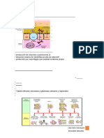 RESUMEN Teórico 8 Inmuno-1