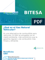 Presentacion Natgas