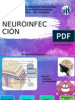 Neuroin Feccio Nes