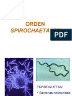 Tema Diapositivas Orden Spirochaetales