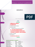 Epithelium Simple Et Pluristratifiés