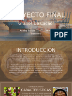 Granos de Cacao