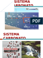 Sistema Carbonato 