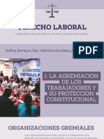 Derecho Laboral - 20241024 - 105833 - 0000