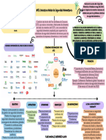 Mapa Conceptual Gfsi