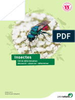 CDD Insectes