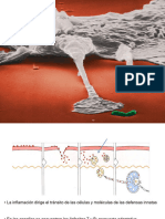 EUTM - Inmunología Clase 2 - 2020