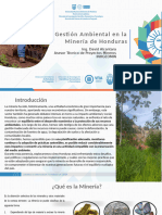 GEstion Ambiental de La Mineria en Honduras