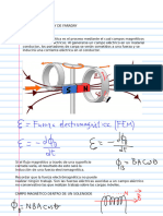 Fem Inducida 1