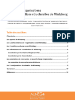 Theorie Des Organisations Chap 4 Lecon 3 Cours v6