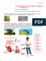 La Clasificacion de Los Seres Vivos Según El Número de Células