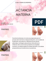 Lactancia Materna Tercer Modulo