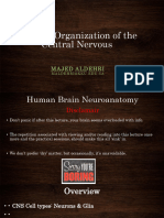 2 4 - Cellular Organization of The Central Nervous System