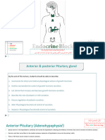 3,4,5 Anterior & Posterior Pitutary Gland (Edited)