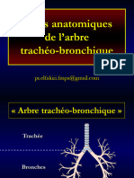 FMPG 2023 4 Trachée - Bronches v4