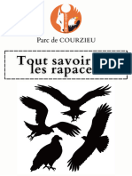 Tout Savoir Sur Les Rapaces 1