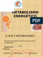 Metabolismo Energetico