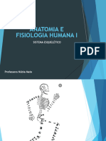 SISTEMA OSSEO - Parte 1