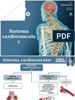 Sistema Cardiovascular