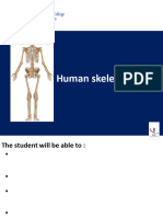 6 - Skeletal System