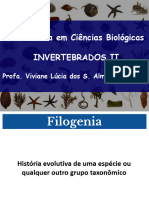 Slides Filo Platyhelminthes