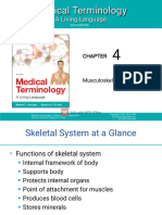 Chapter 4 - The Musculoskeletal System