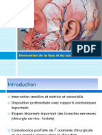 Innervation de La Face Et Du Cou