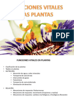 Funciones Vitales en Plantas