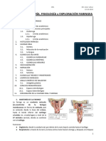 TEMA 4. Anatomía y Fisiología Faríngea