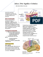 Dor Aguda e Crônica