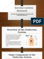 Endocrine System Diseases