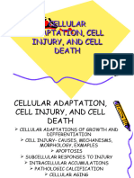 Cellular Adaptation, Cell Injury, and Cellkredki - Tagged