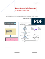 01.8 Transformation Métabolique Des Monosaccharides