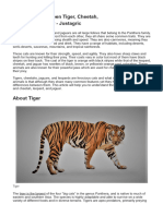 Differences Between Tiger, Cheetah, Leopard & Jaguar - Justagric - Mode Lecture