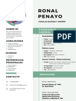 CV Ronal Penayo