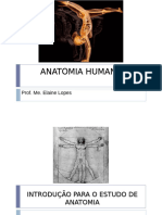 Aula Introduçao A Anatomia - 2024-1 Odonto